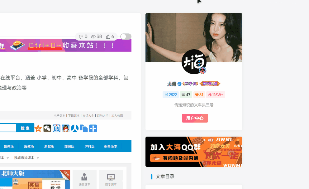 子比美化-文章页隐藏侧边栏按钮（新增 function.php 实现）|风雪源码